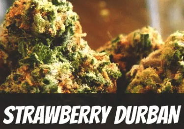 Strawberry Durban