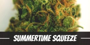 Summertime Squeeze