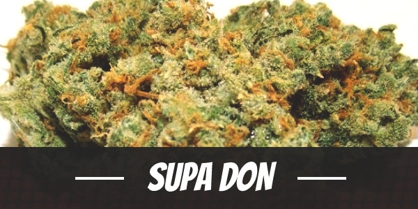 Supa Don