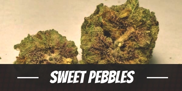 Sweet Pebbles