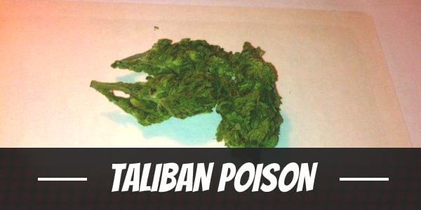 Taliban Poison