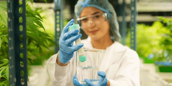 testing water for chlorine cannabis plant