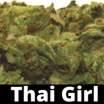 Thai Girl