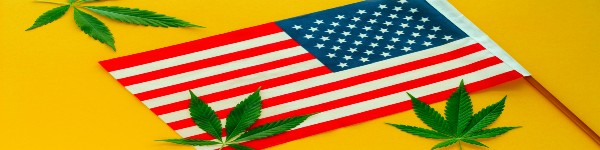 The History of Cannabis Laws in Us