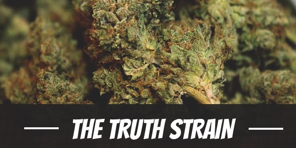 The Truth Strain