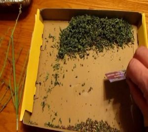 The best way to remove marijuana seeds