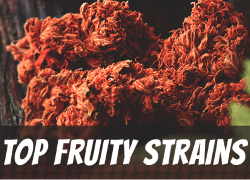 Top-Fruity-Strains