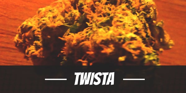 Twista Strain