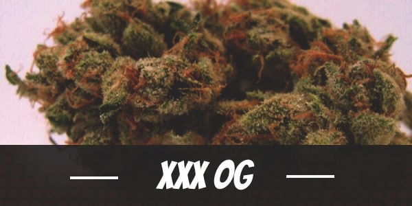 XXX OG