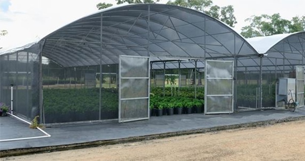 Connected cannabis greenhouses