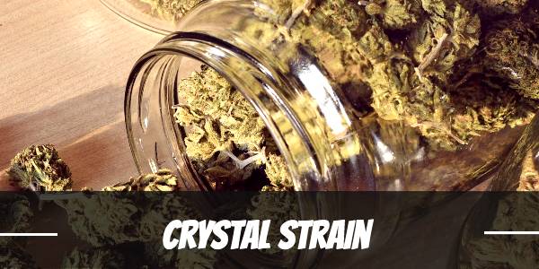 Crystal Strain