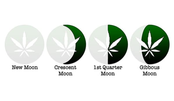 growing weed using the moon