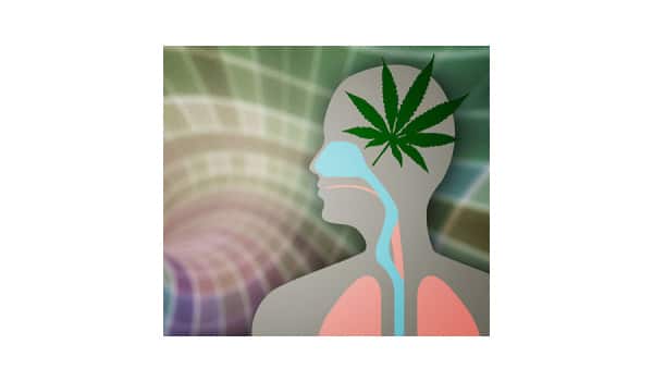 listen to your body when eating marijuana edibles