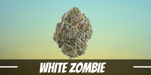 white-zombie