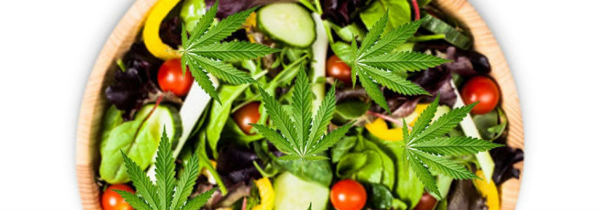 why you should be eating raw weed