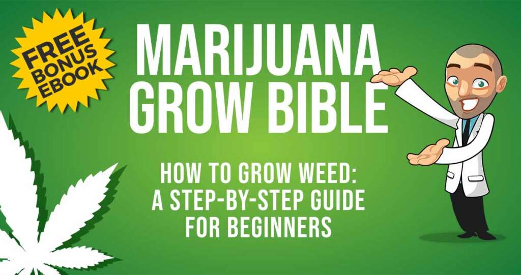 Robert Bergman Weed Grow Bible