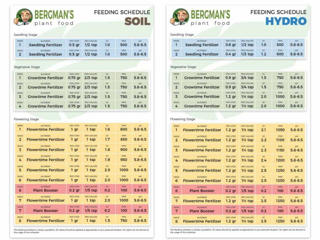 Cannabis Plant Feeding schedule