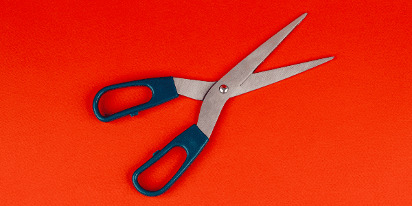 Scissor for topping marijuana 