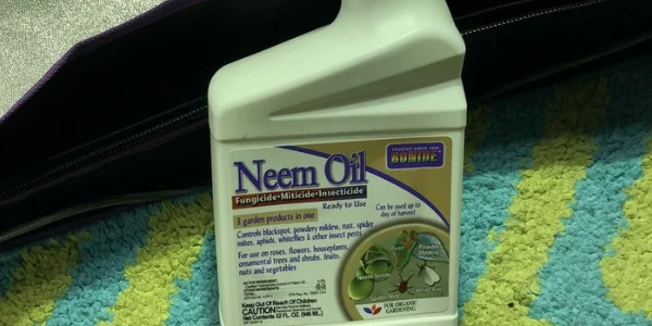 Neem Oil Insecticide for weed plants