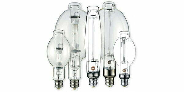 5 HID light bulbs