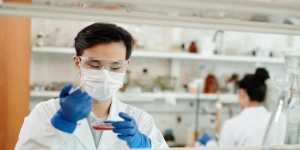 Discovery of THC in marijuana