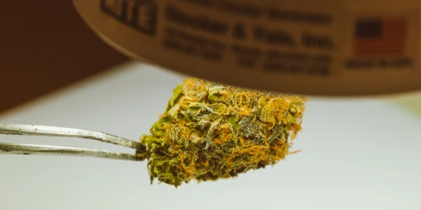 Kitchen Sink strain effects