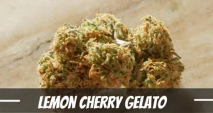Lemon Cherry Gelato