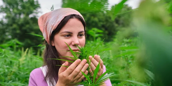 Moonbow cannabis strain yield