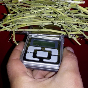 Measuring cannabis sticks with pocket scale