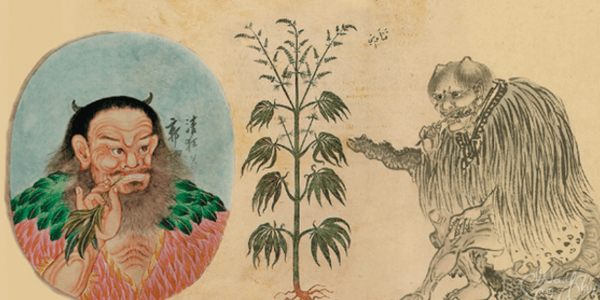 early references of cannabis use from ancient China