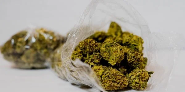NF1 strain flavor
