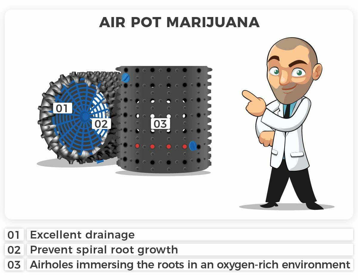 Airpot for a cannabis autoflower plant