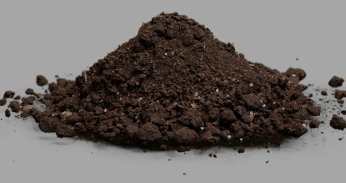 A pile of soil that can be used to grow autoflower marijuana plants