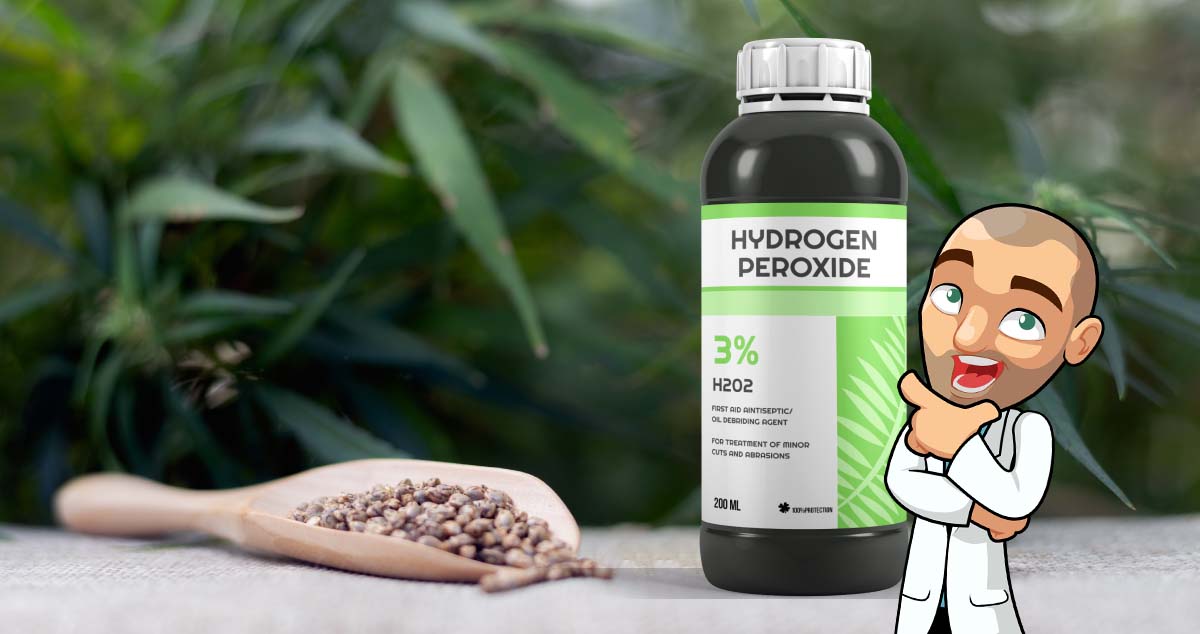 how to use hydrogen peroxide for cannabis seeds germination