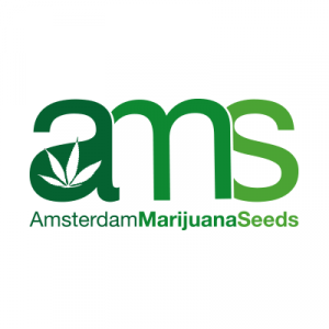 AMS logo