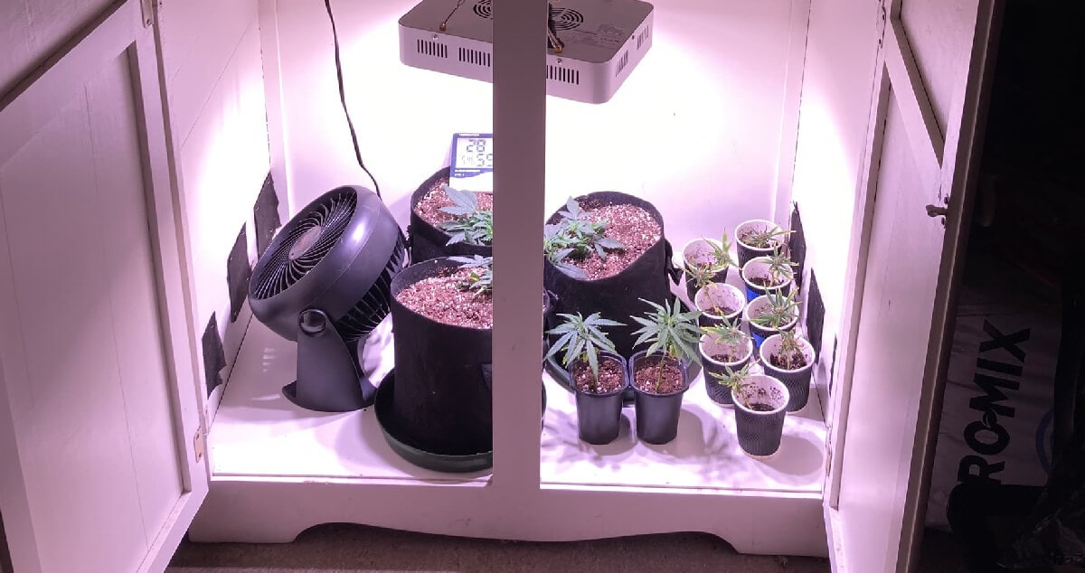 Growing in a closet