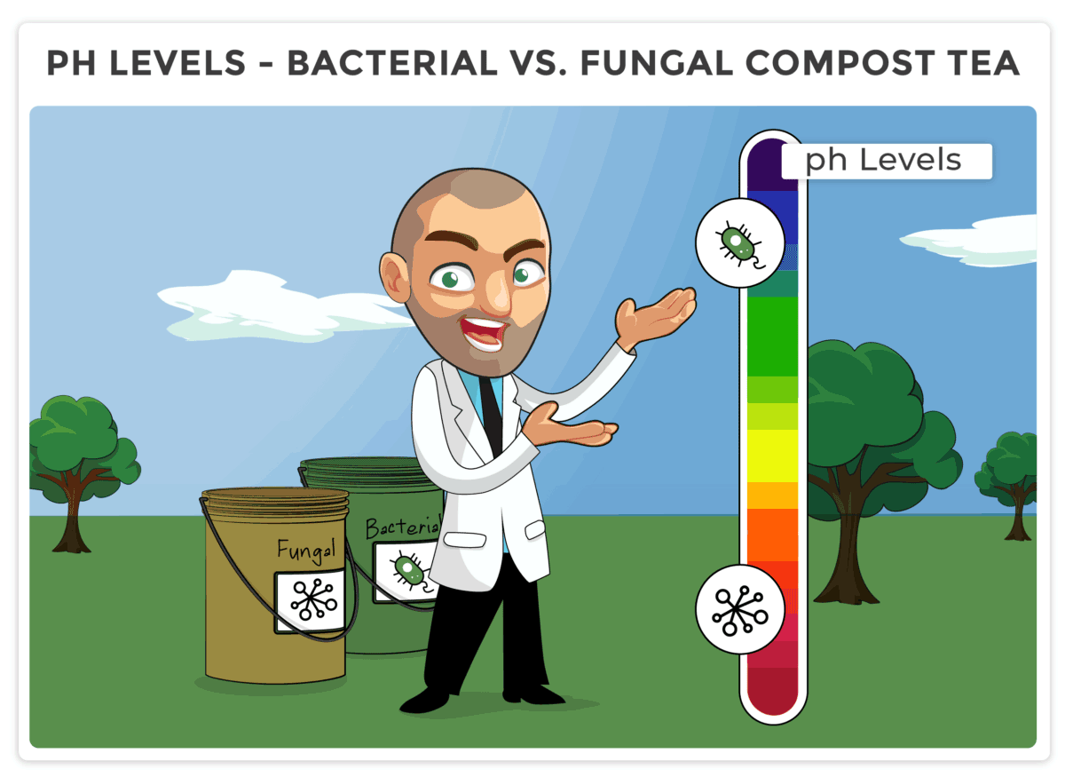 ph levels bacterial vs fungal compost tea