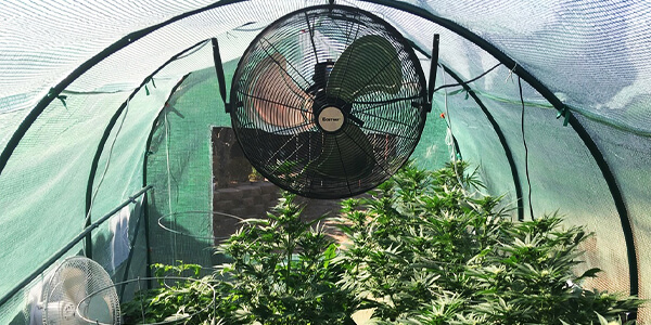 inline fan for light dep grow