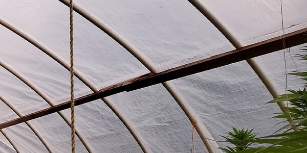 support spine hoop house with t joint