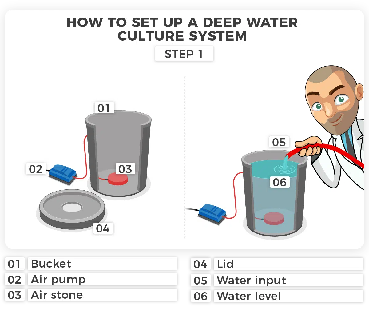 Deep Water Culture - DWC step 01