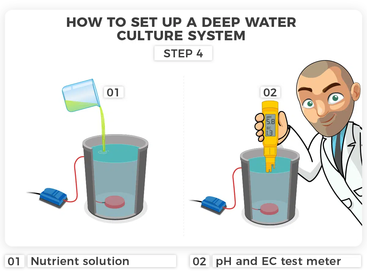 Deep Water Culture - DWC step 04