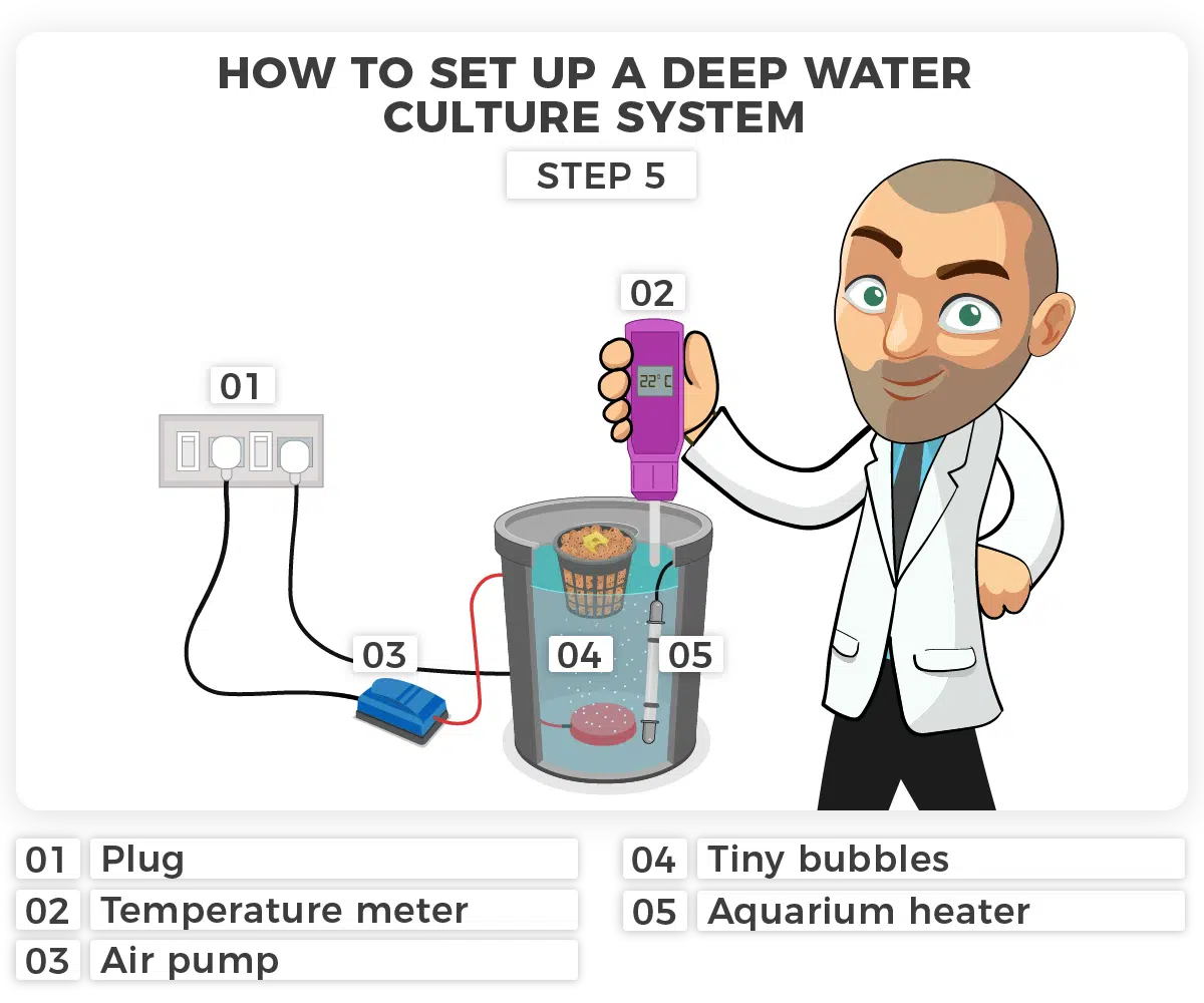 Deep Water Culture - DWC step 05