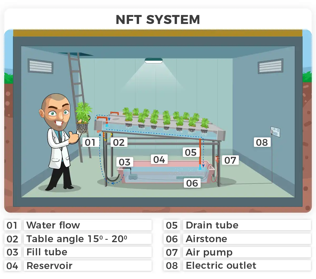 NFT Table