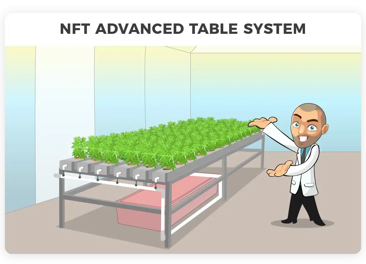 Nutrient film technique Advanced table system setup