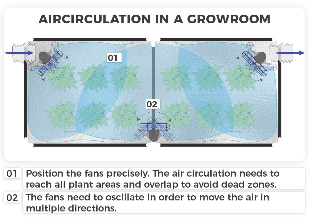 grow room aircirculation