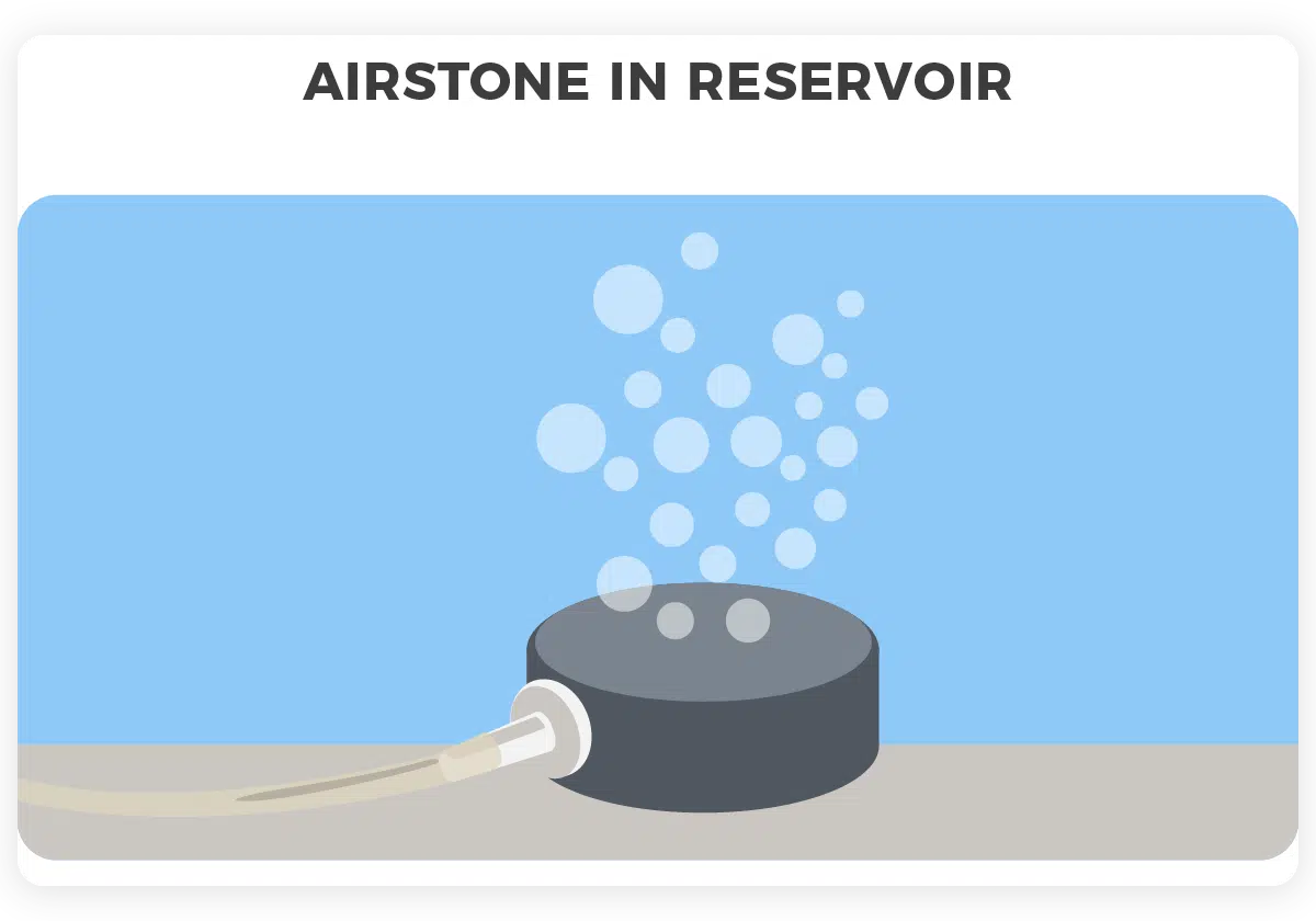 Reservoir and airstone 