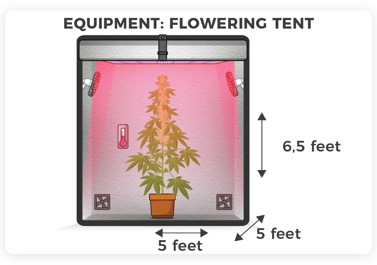 flowering stage grow tent