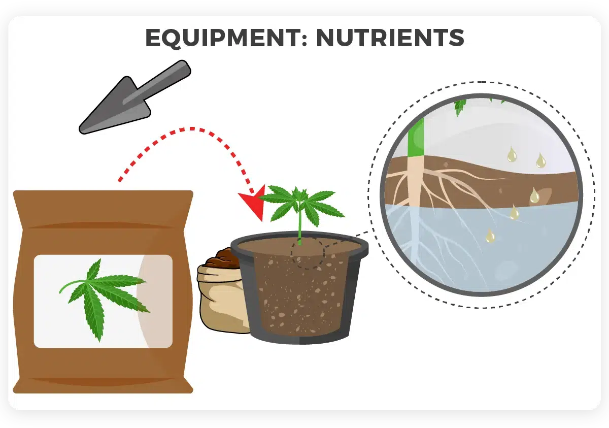 Nutrients weed