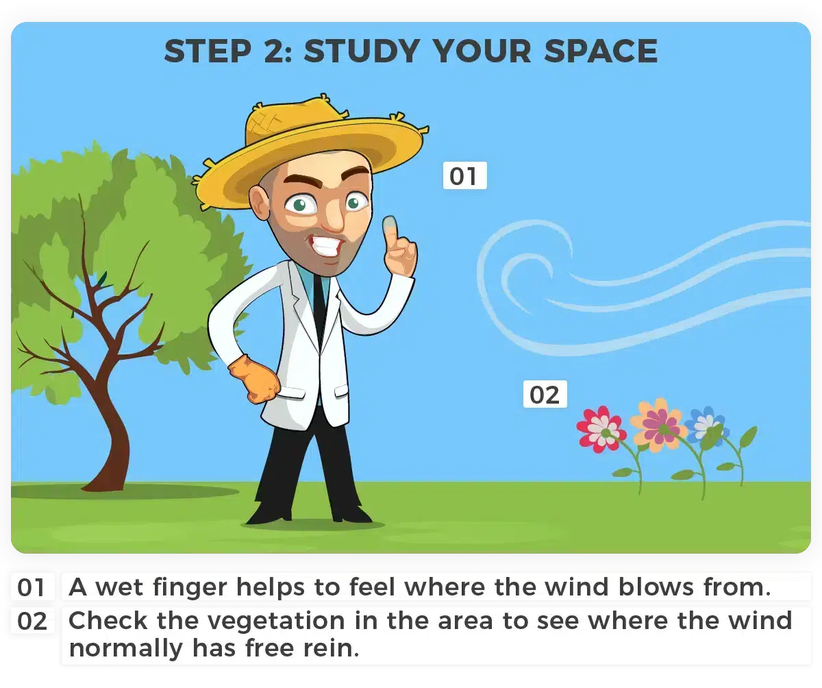 Constructing a windbreak. Step 2: Study your space