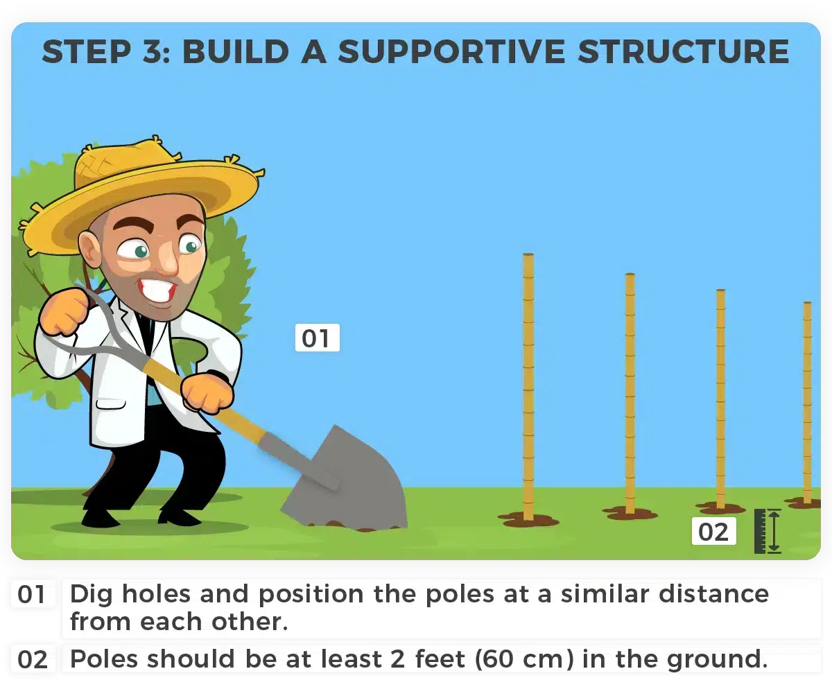 Constructing a windbreak. Step 3: Build a Supportive Structure